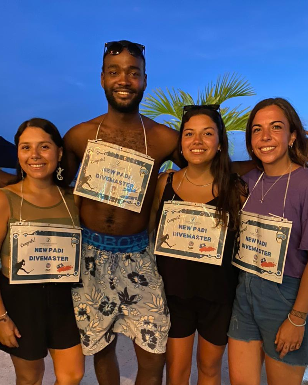 Diseño sin título (2)