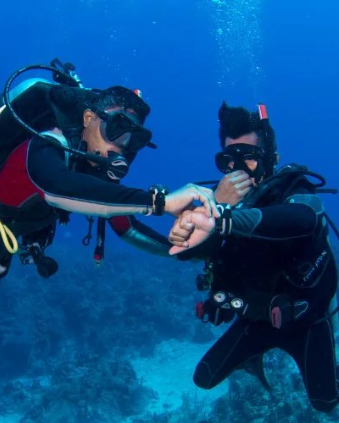 Diseño sin título (3)