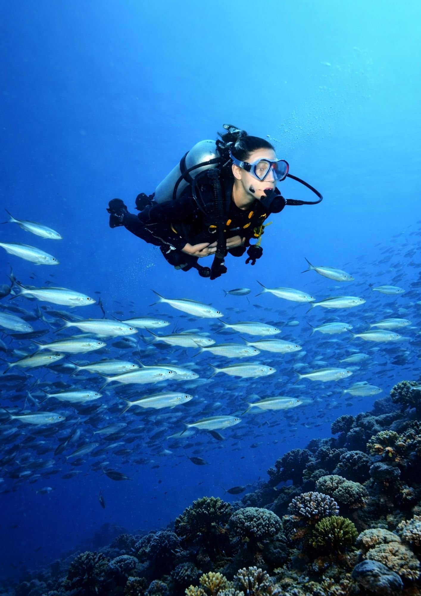 IDC proposal 2025 IDC proposal 2025