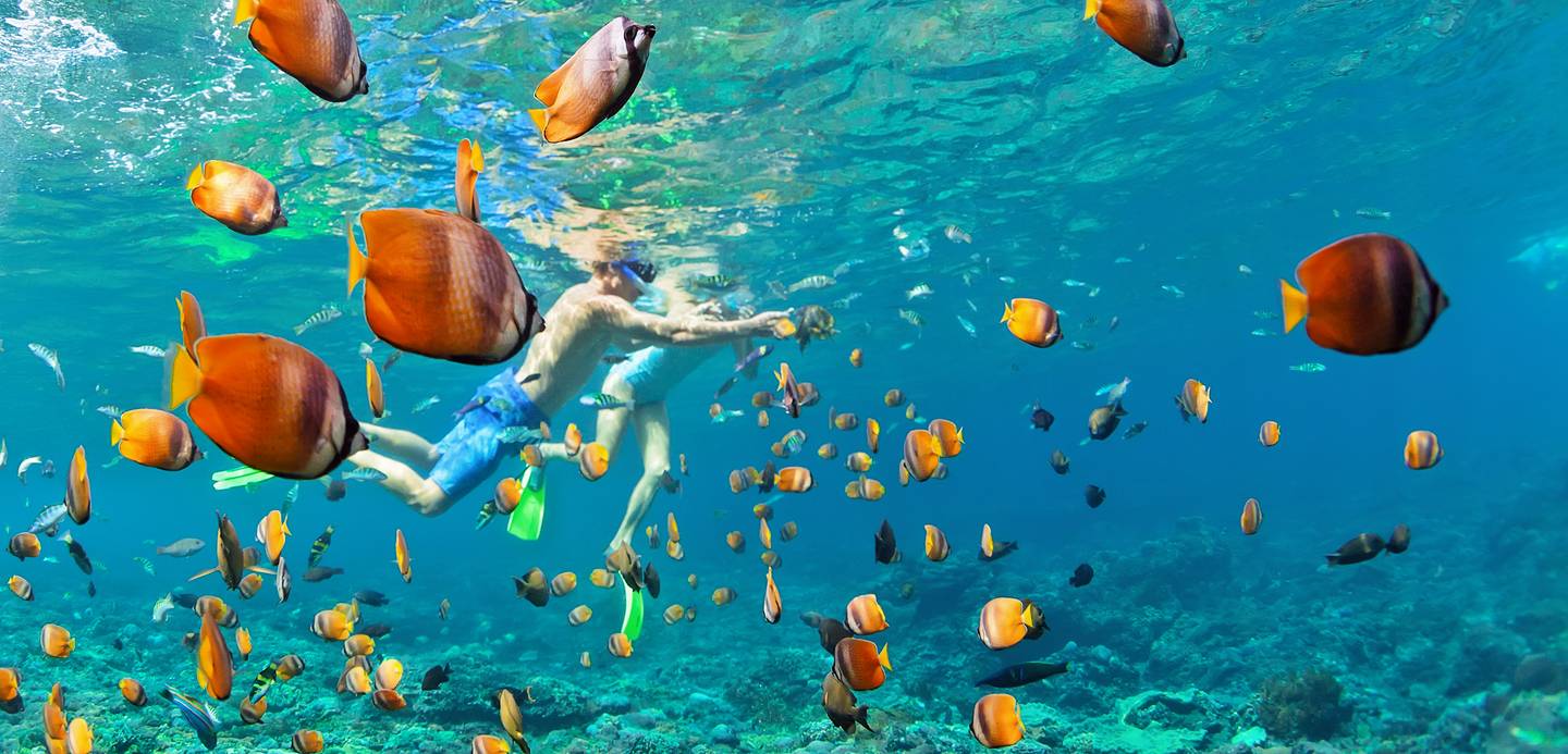 kids snorkeling with fish