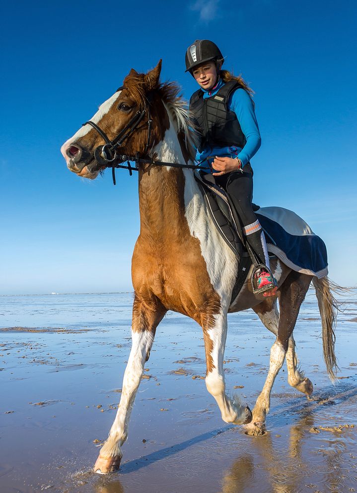 woman riding a horse on the beach