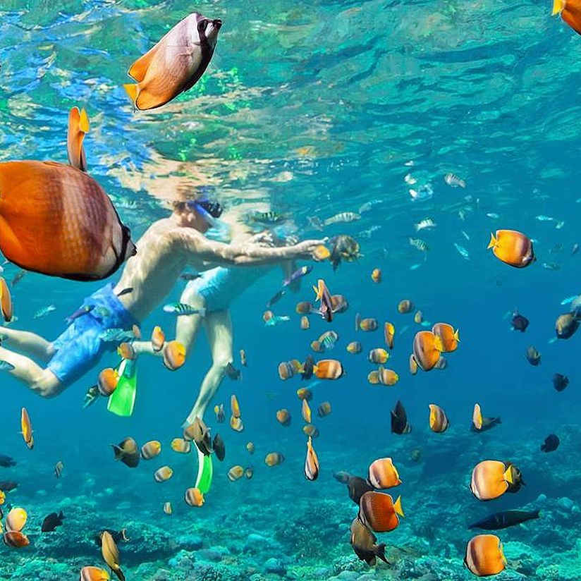 kids snorkeling with fish